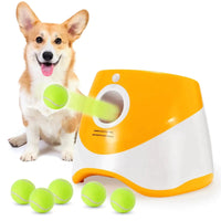 Orange 1Host 6 balls